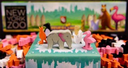 Board Game: New York Zoo