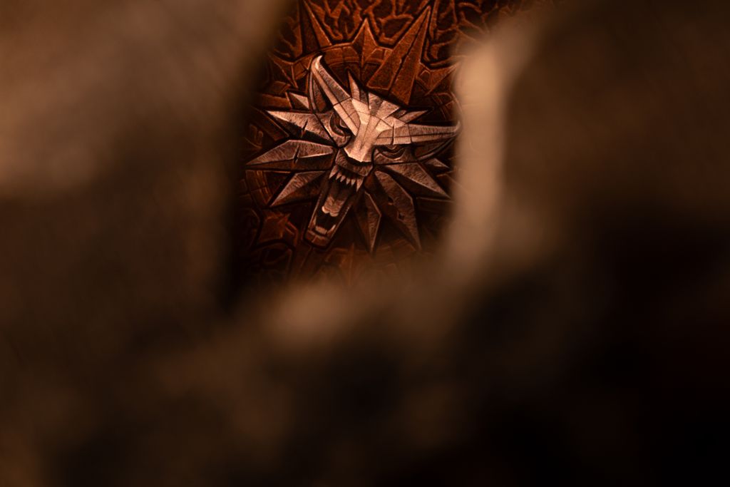 Illustration 2 de The Witcher : La voie du destin