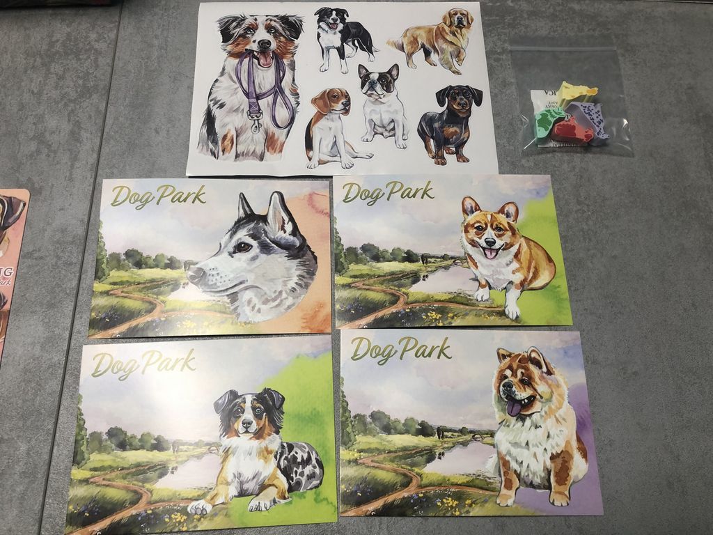 Playing Cards in A Tin - Dog Park