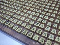 Taikyoku Shogi