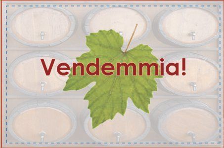 Vendemmia!