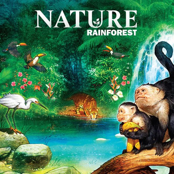 Nature: Rainforest
