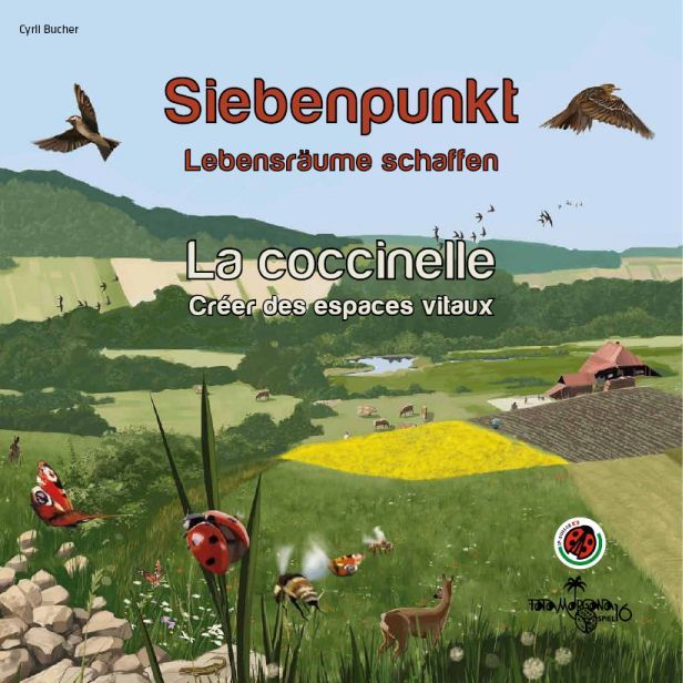 Siebenpunkt doboz