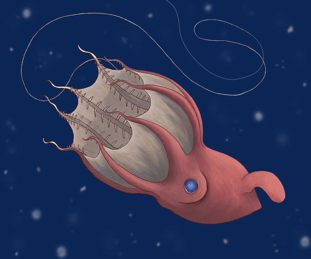 Illustration 8 de Abyssalia: Life in the Dark