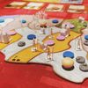 First play of Spirit Island!