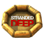 Video Game: Stranded Deep