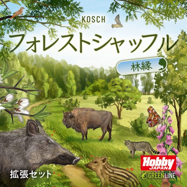 放送大学 割引 Edge Woodland Shuffle: Forest | BoardGameGeek | Image 洋楽