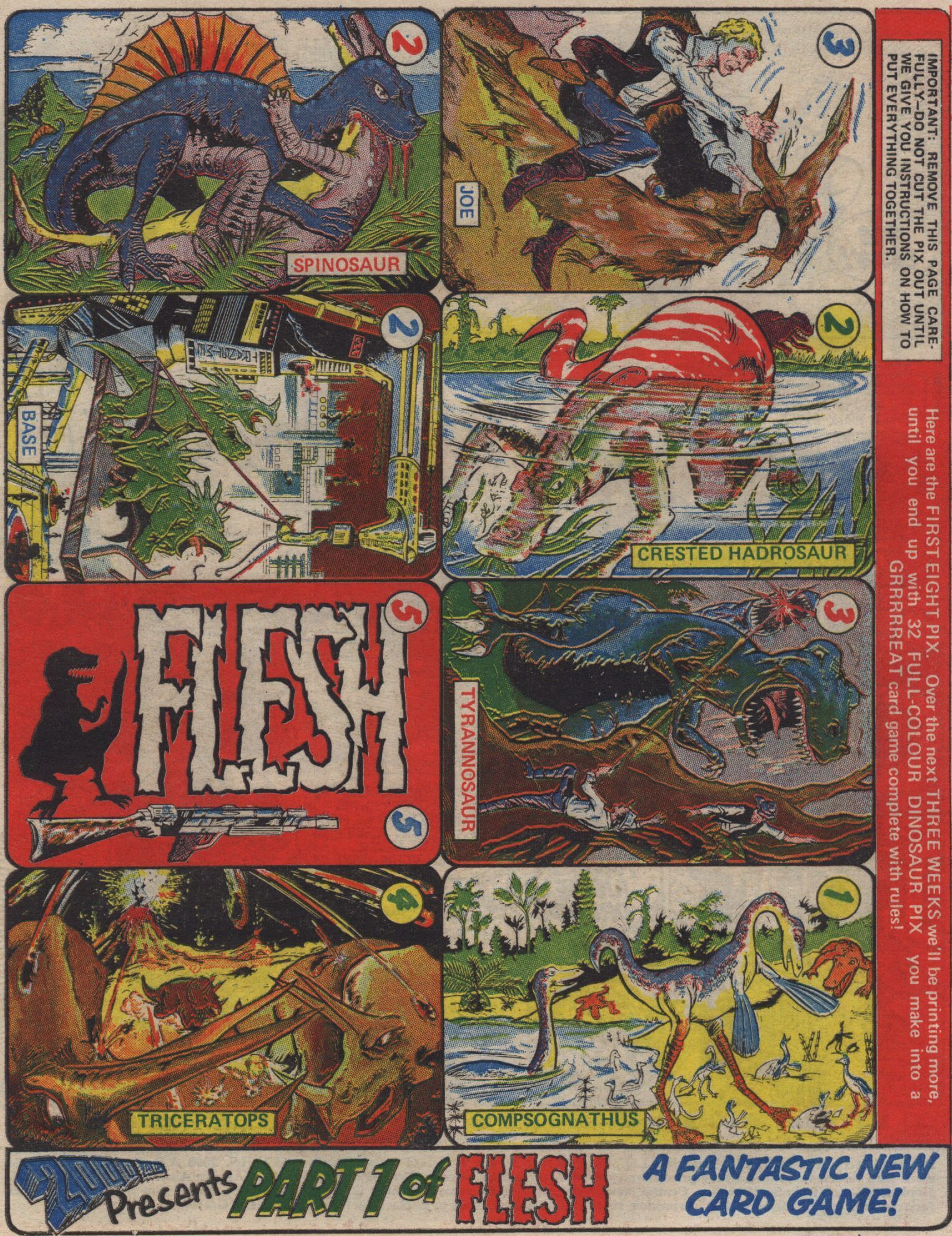 Flesh