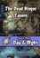 RPG Item: Heroic Maps Day & Night: The Dead Ringer Tavern