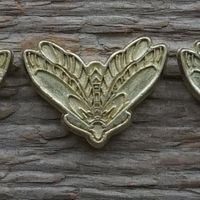 Spirits of the Forest: The Golden Fireflies
