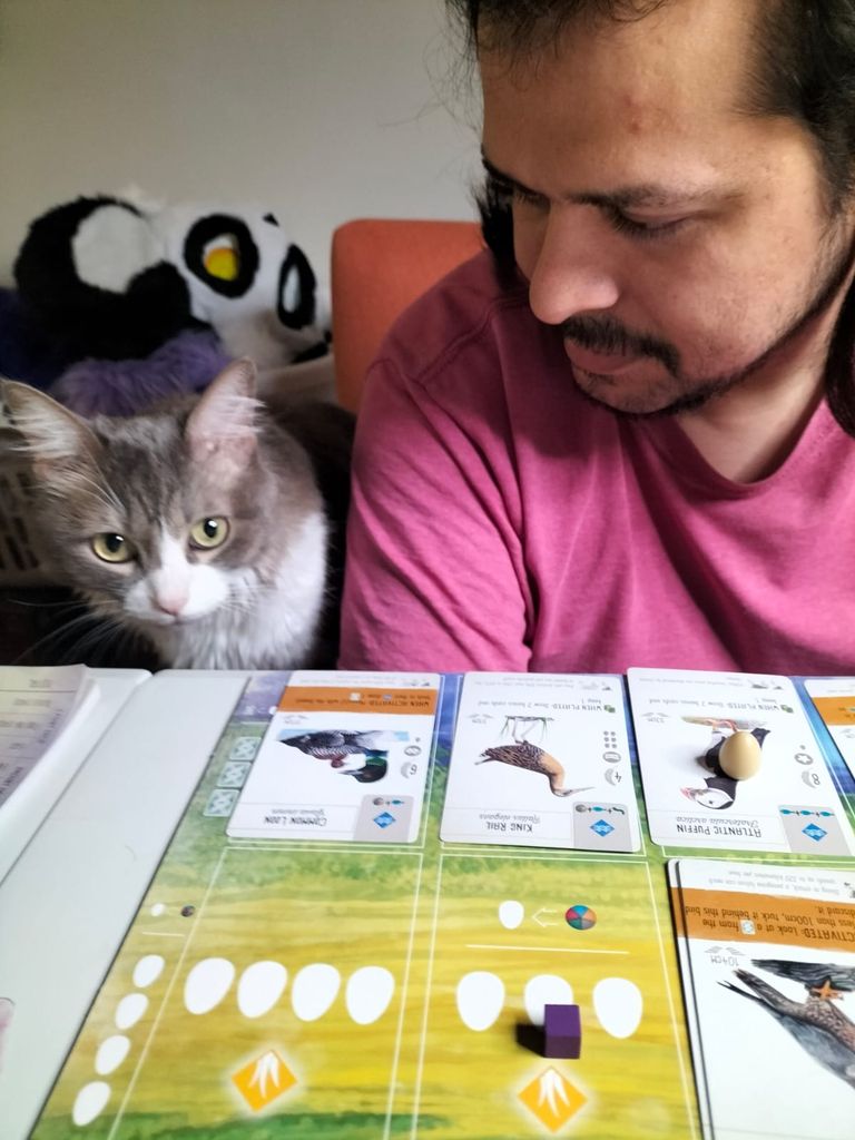 Bagel is wondering what this fuss is about. — Photo by LiatKolink on BoardGameGeek