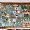  On The Origin of Species, An Evolutionary Research Board Game  by Artana Games, Charles Darwin's Trip Through the Galapagos as a  Strategic Science Board Game for Kids and Families