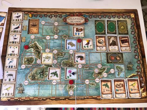 Board Game: On the Origin of Species
