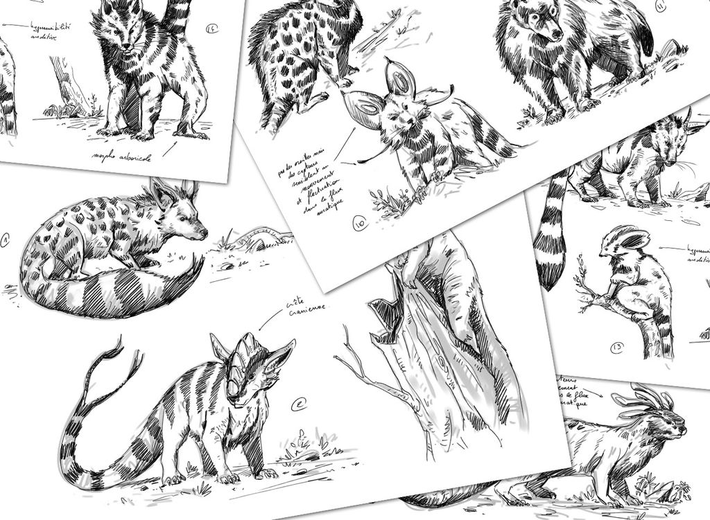 Illustration 2 de Malhya, Lands of Legends