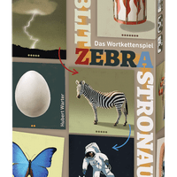 Blitz Zebra Astronaut