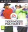 Video Game: Tiger Woods PGA Tour 11