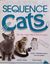 Board Game: Sequence Cats