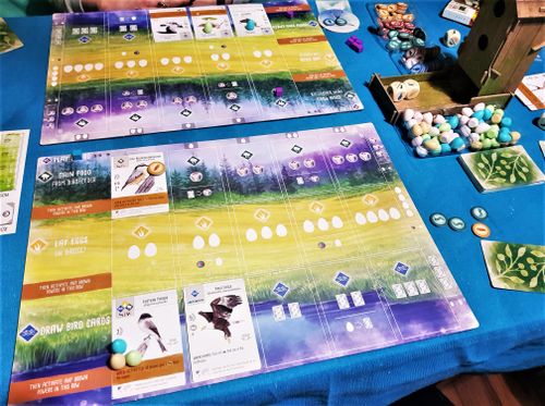 Wingspan ongoing two-player game