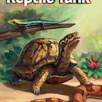 Reptile Tank