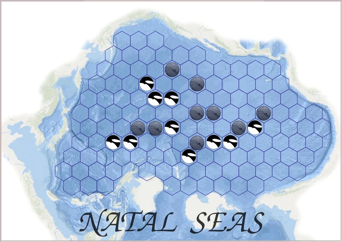 Natal Seas
