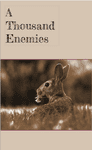 RPG Item: A Thousand Enemies