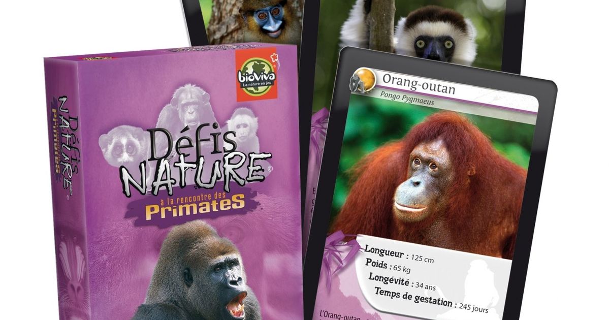 Défis Nature, Board Game