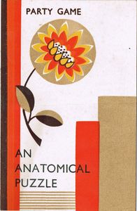 An Anatomical Puzzle