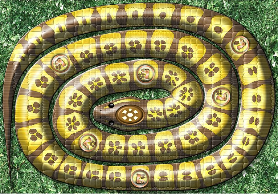 Royal Python | Board Game | BoardGameGeek