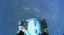 BoardGameGeek profile picture for @cane