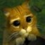 BoardGameGeek profile picture for @Scarlet