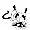 BoardGameGeek profile picture for @Burma