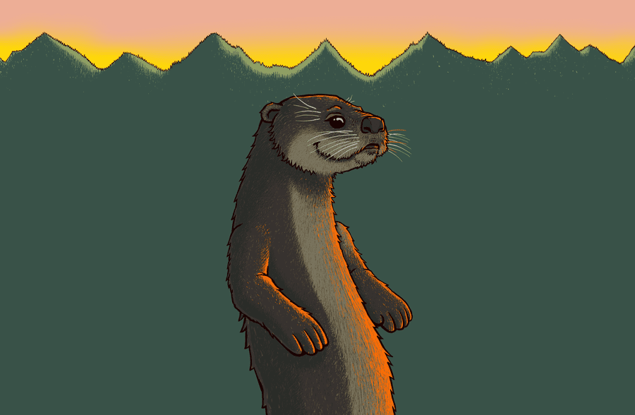 https://cf.geekdo-images.com/az6GSgWuxsSGdevcgI29Jw__imagepage/img/WcuUEYDWn4OBcWNYK3zY-dD_OHY=/fit-in/900x600/filters:no_upscale():strip_icc()/pic6636597.png