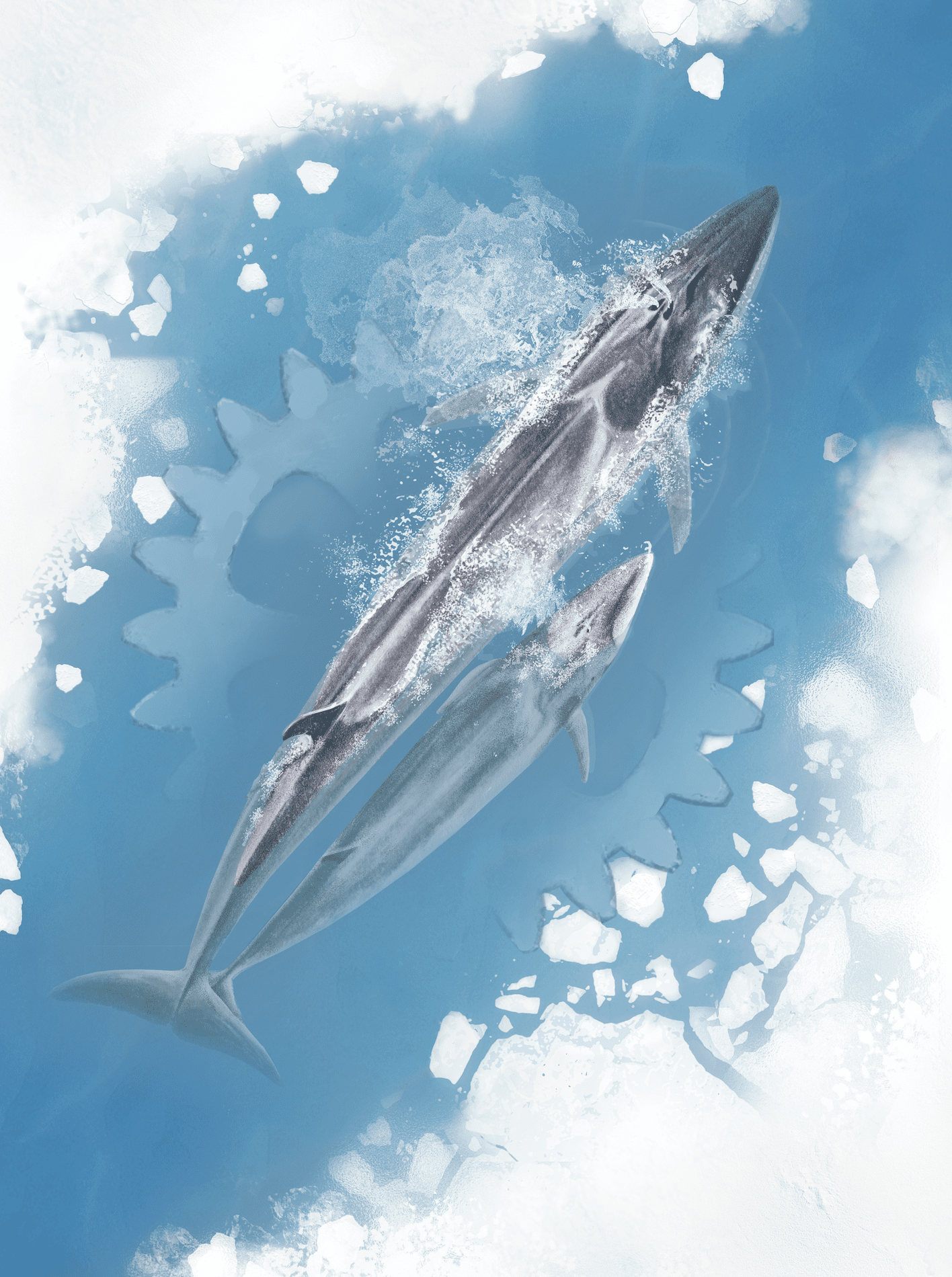 ARCTICA