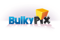 Video Game Publisher: Bulkypix