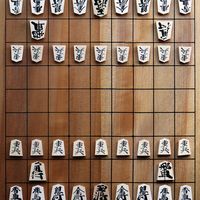 Shogi