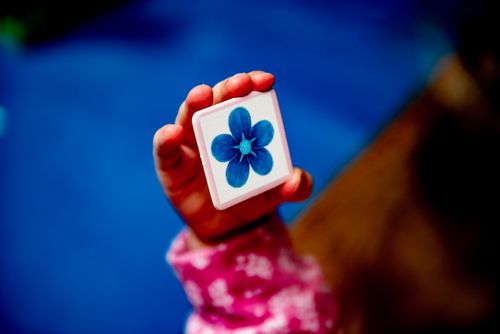 Bidibirdy @ BoardGameColors