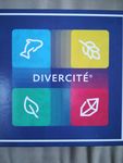 Divercité