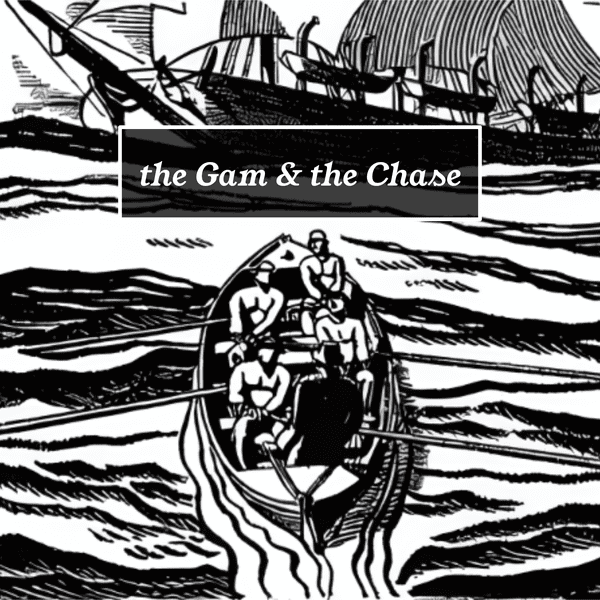 the Gam & the Chase