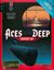 Video Game: Aces of the Deep Expansion Disk