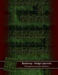 RPG Item: Battlemap: Hedge Labyrinth