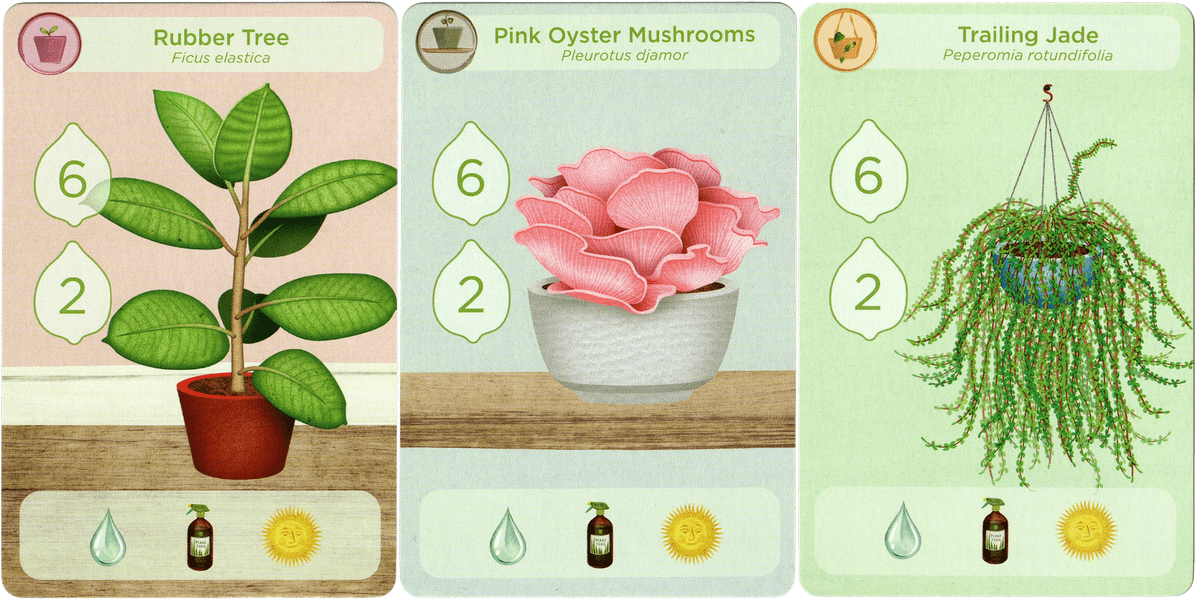 Planted Plants Promo Board Game BoardGameGeek