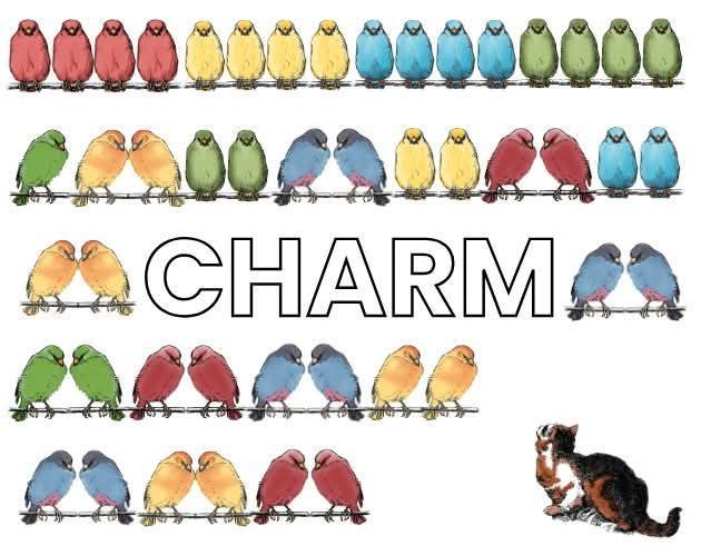 Cover art for CHARM