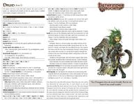 RPG Item: Pathfinder Core Rulebook: Druid