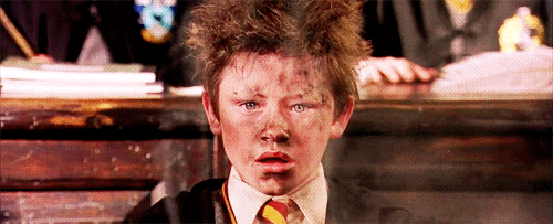 Risultati immagini per seamus finnigan philosopher stone gif