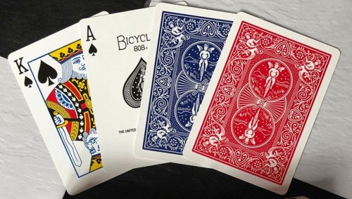 Bicycle Brand Blank Playing Card Deck