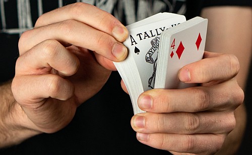Tally-Ho Elite Edition playing cards
