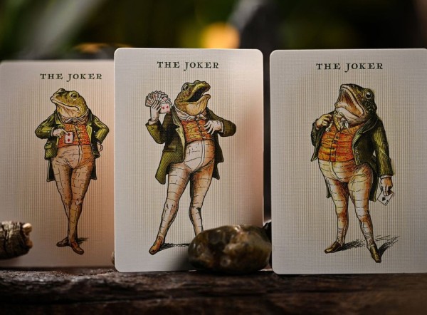 gambling frog playing cards