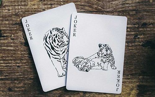 Hidden King Playing Cards