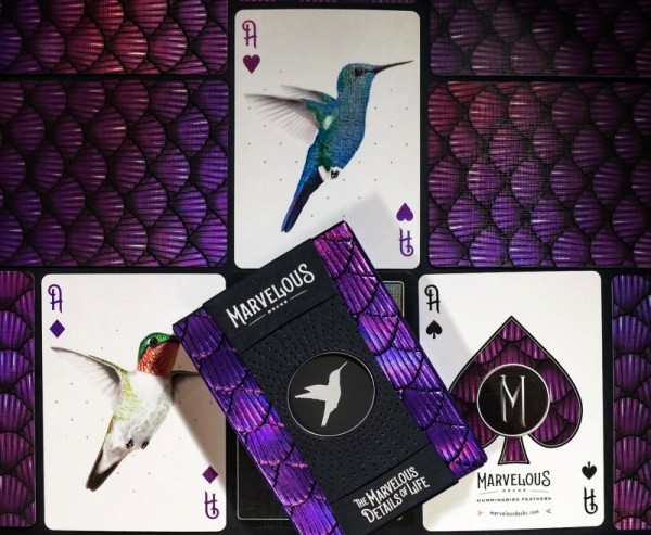 hummingbird playing cards