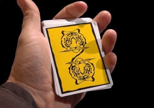 cardistry basic moves